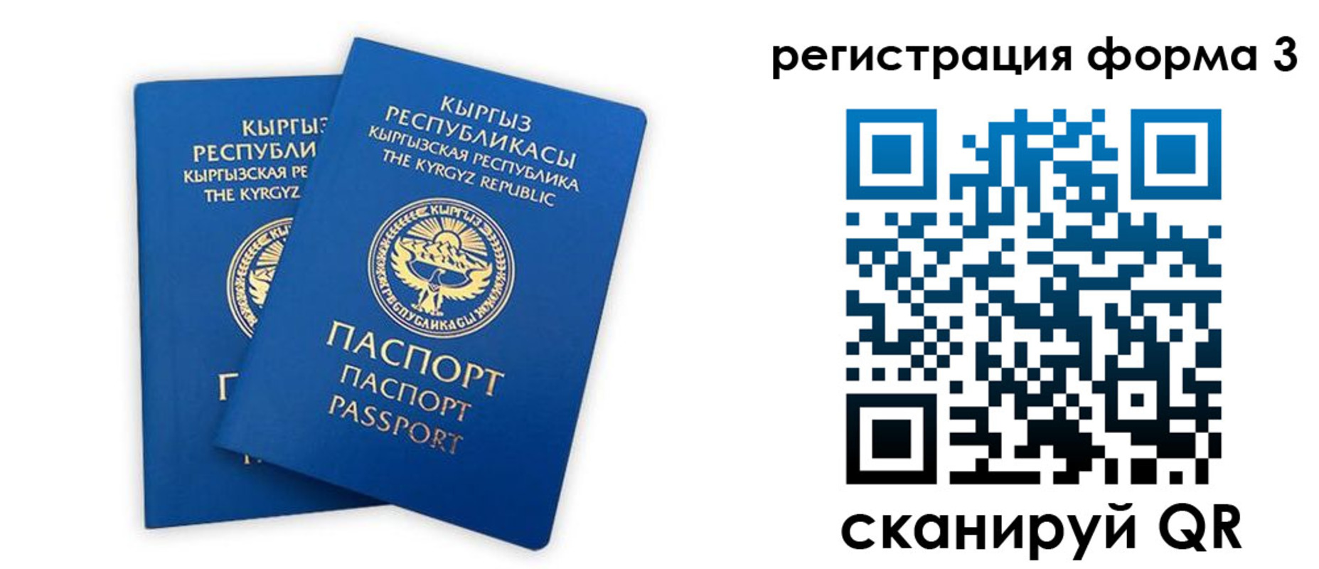 временная регистрация госуслуги в Ельне